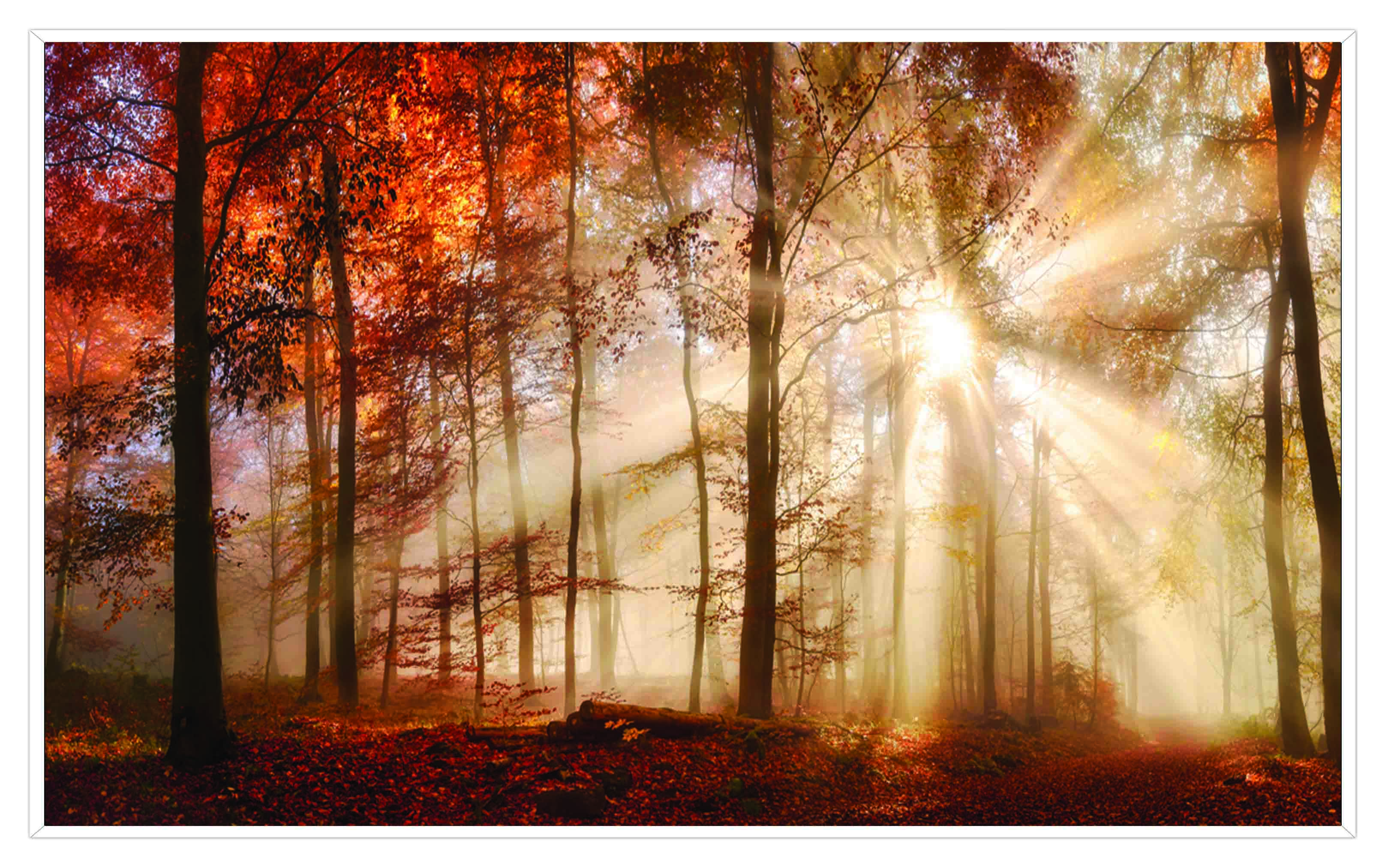 ASG247 Wall décor art printed on glass landscape